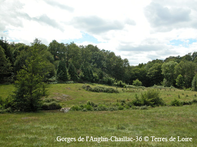 DSCN6653 - copie