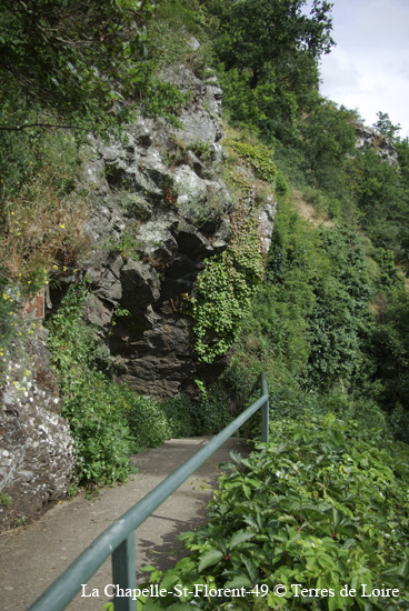 121-SG100130
