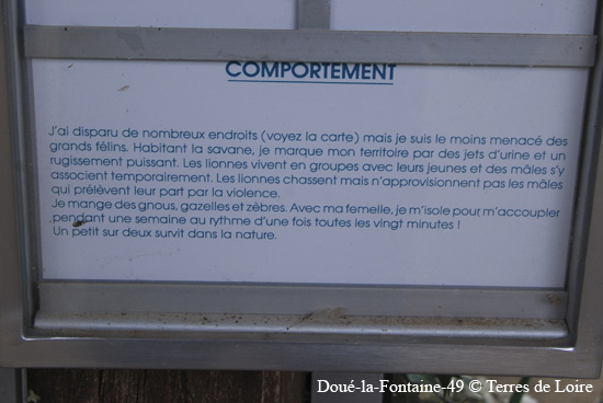 027-DSC_2216