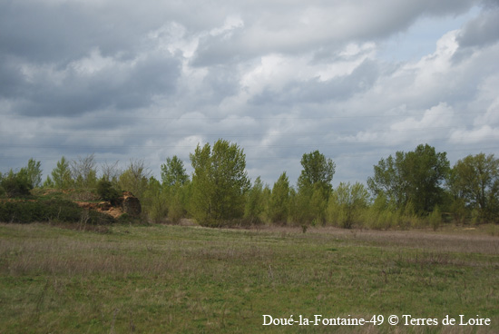 050-DSC_6361