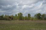 050-DSC_6361