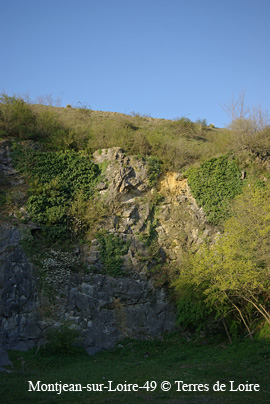 SG109051