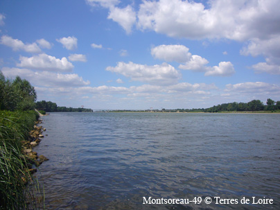 hcP1020088