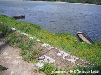 heP1020085
