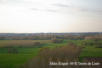 egaSG107517