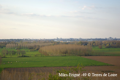 feSG107510
