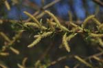 033-DSC_4251