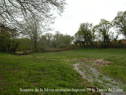 jDSCN0083m