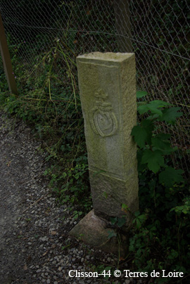biSG107794