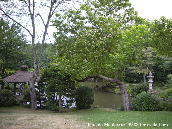070-P1000092