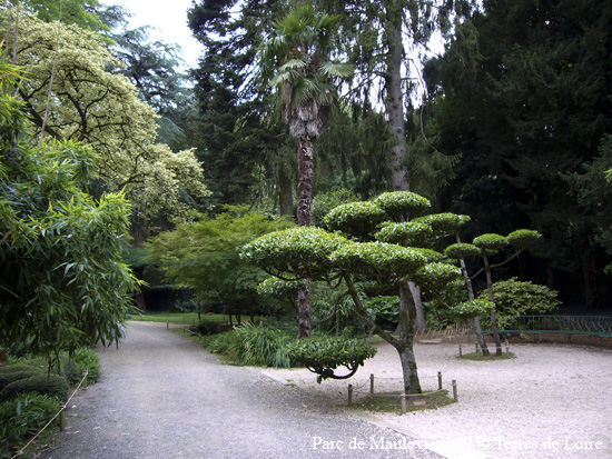 116-P1000124
