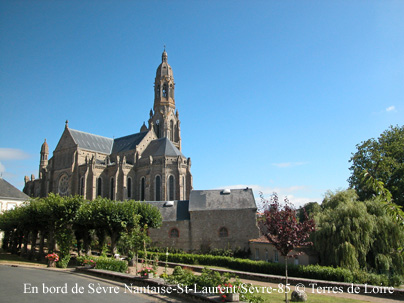 cDSCN8550m