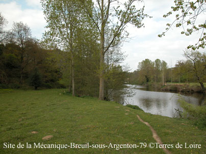 mDSCN0026