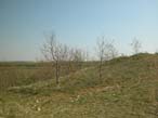 eDSCN0068