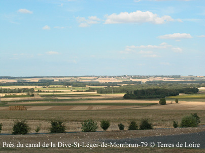 hDSCN8845m