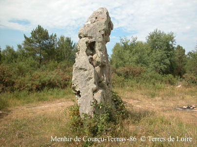 mDSCN9038