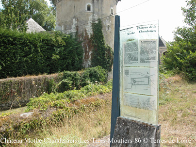 hDSCN8975m