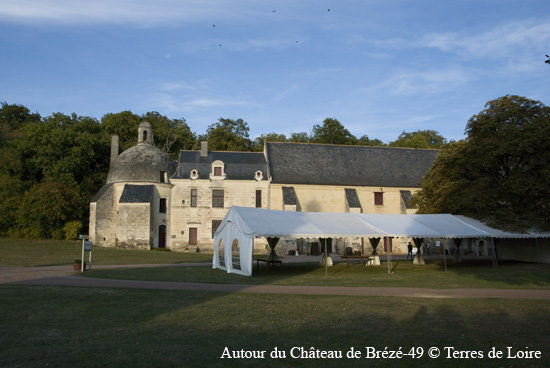 146-DSC_6619