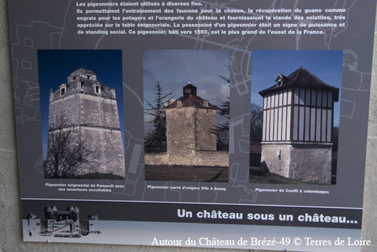 167-DSC_6666