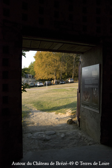 176-DSC_6681