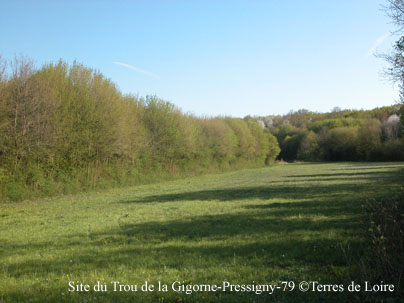 pDSCN0109r