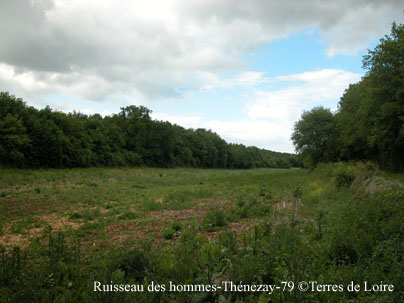 bDSCN0119