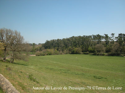 dDSCN0111