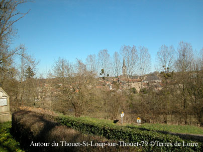 tDSCN0078