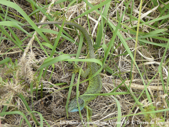 039-P1190554