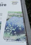 180-DSC_1703